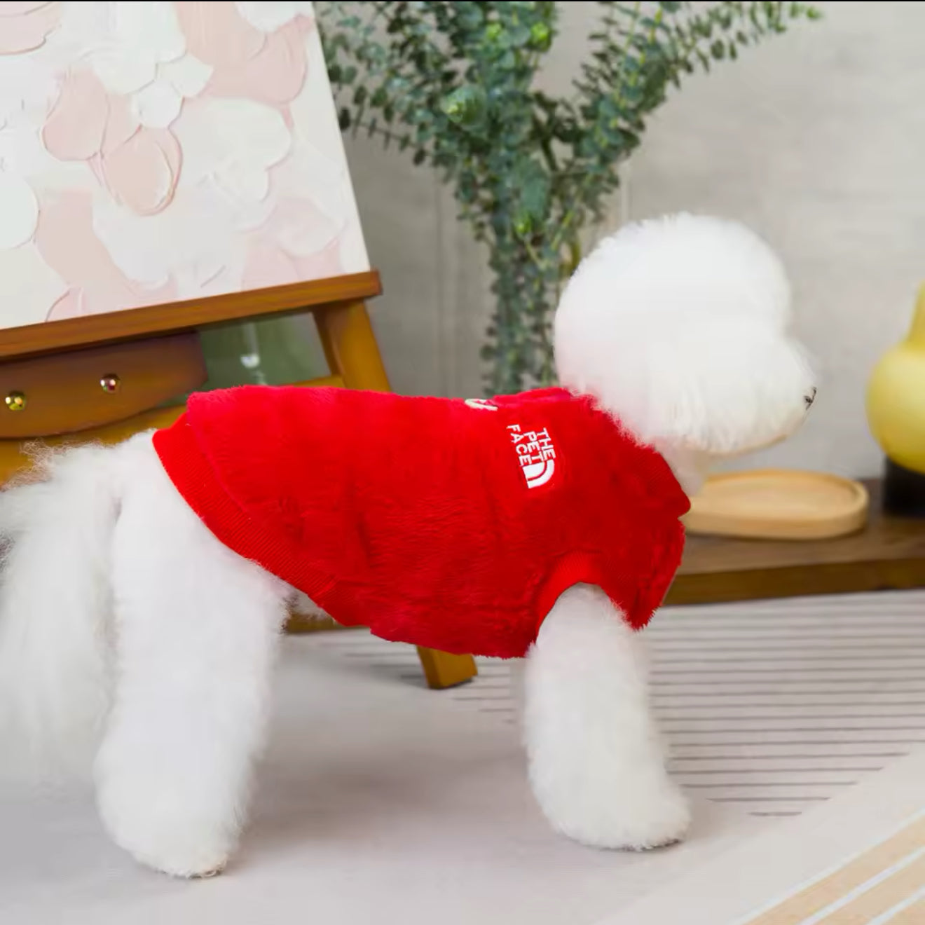 Pet Clothes