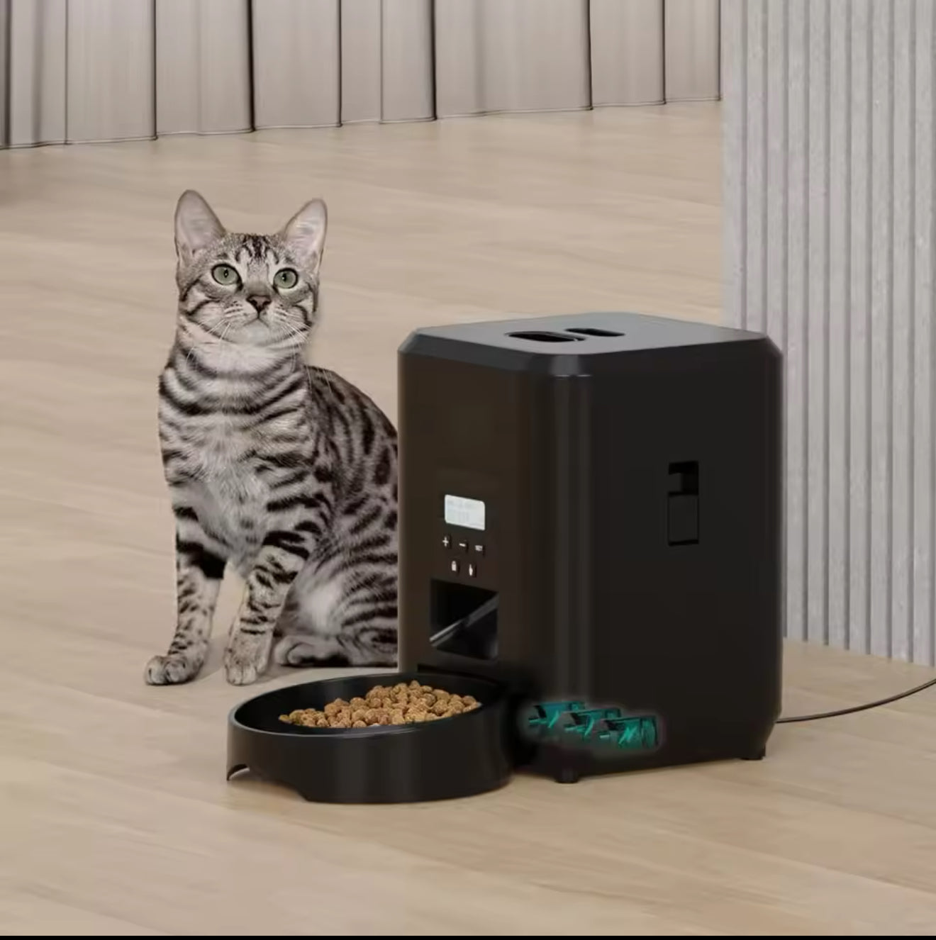 Pet Food Dispenser