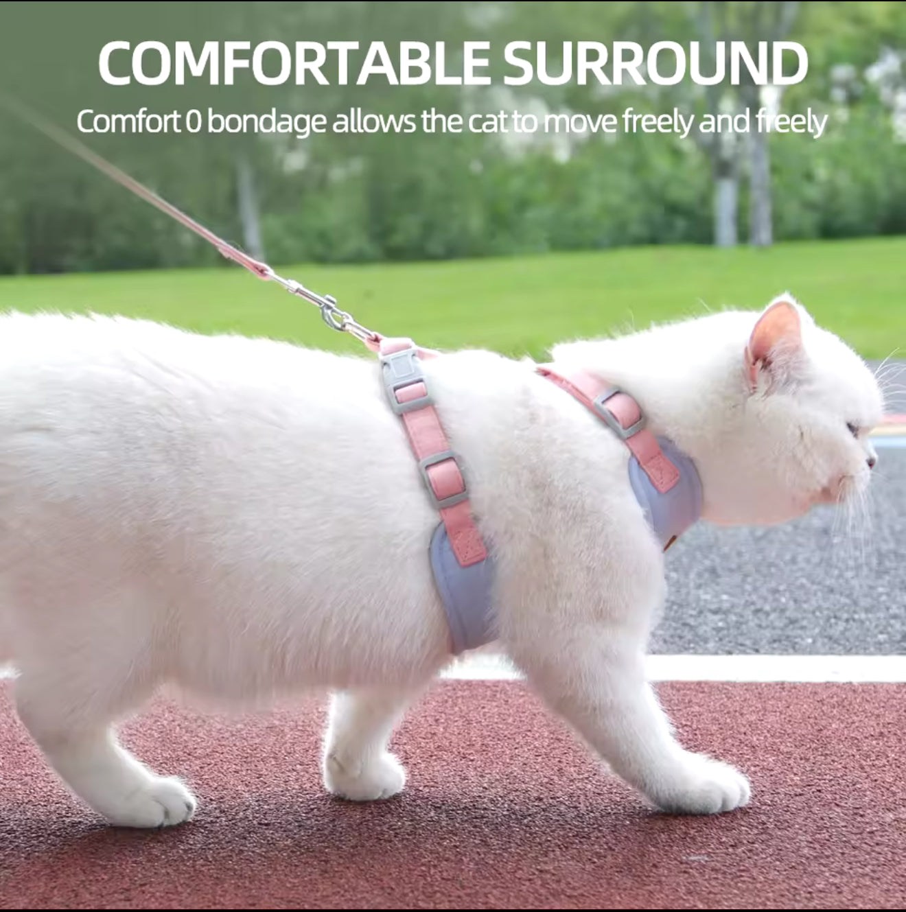 Pet Outdoor Walking Leash