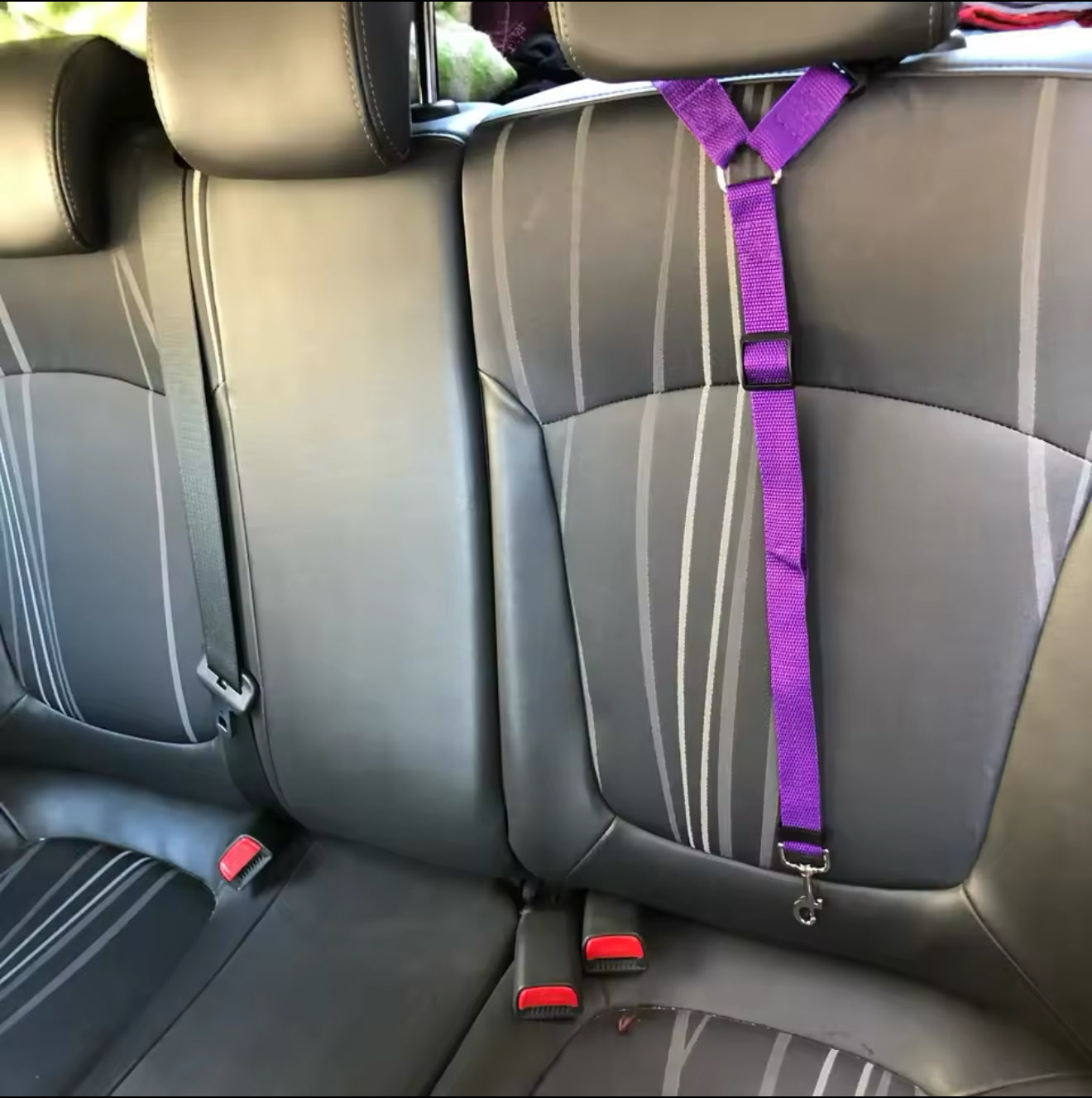 Pet Car Seat Belt