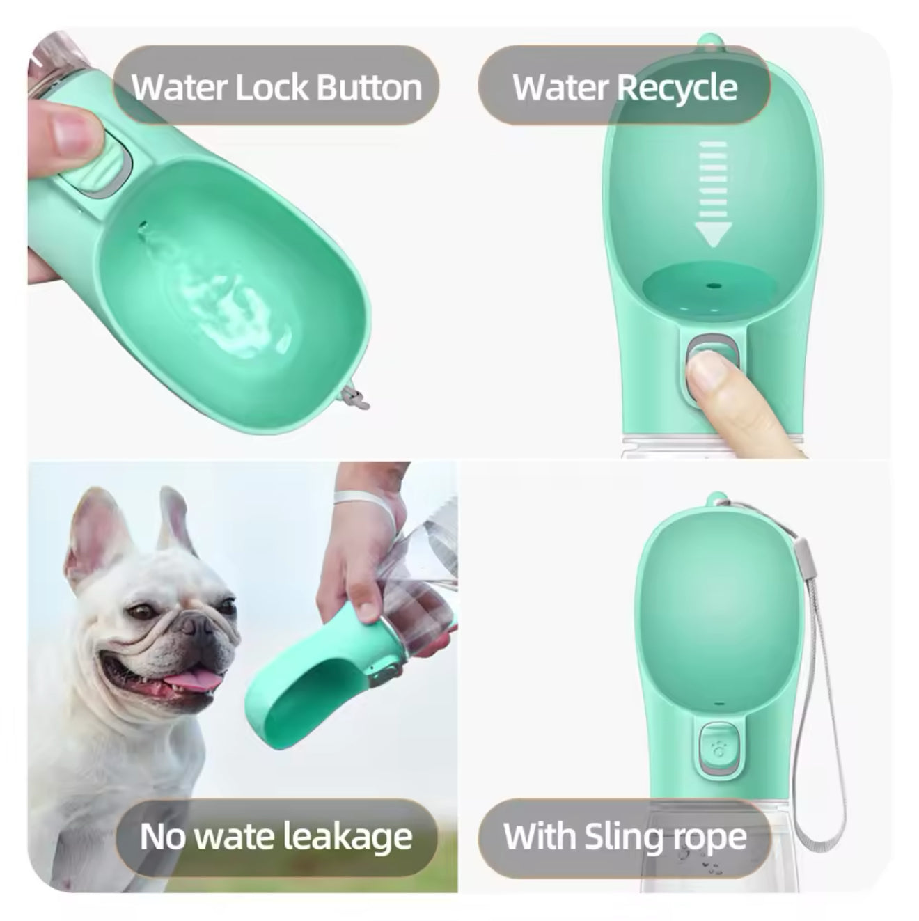 Pet Water Feeder