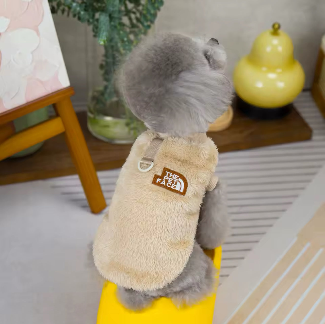 Pet Clothes