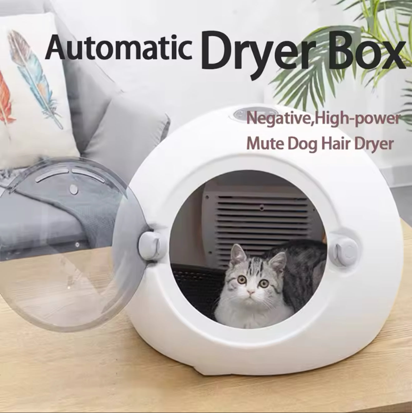 Automatic Pet Dryer