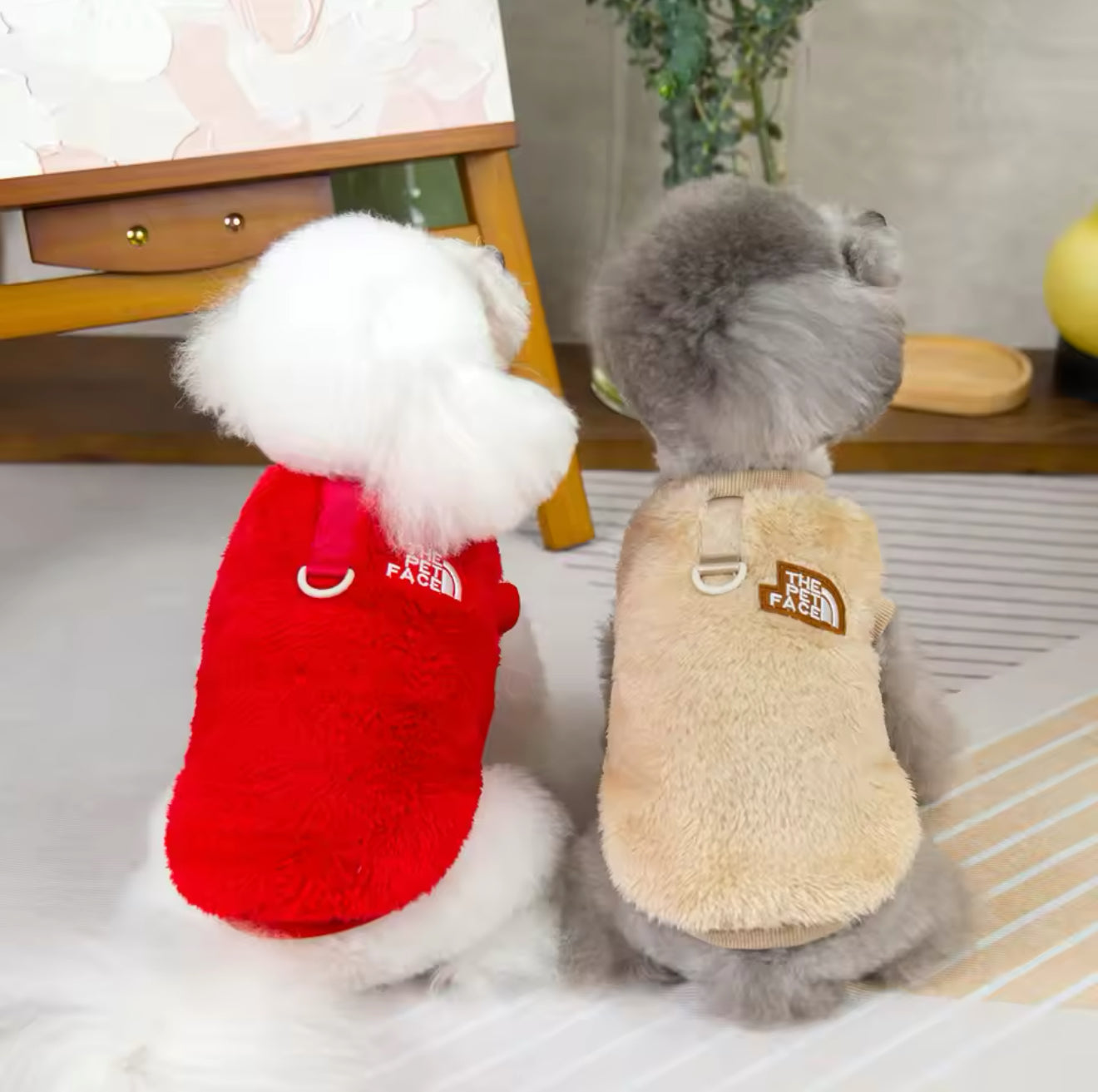 Pet Clothes