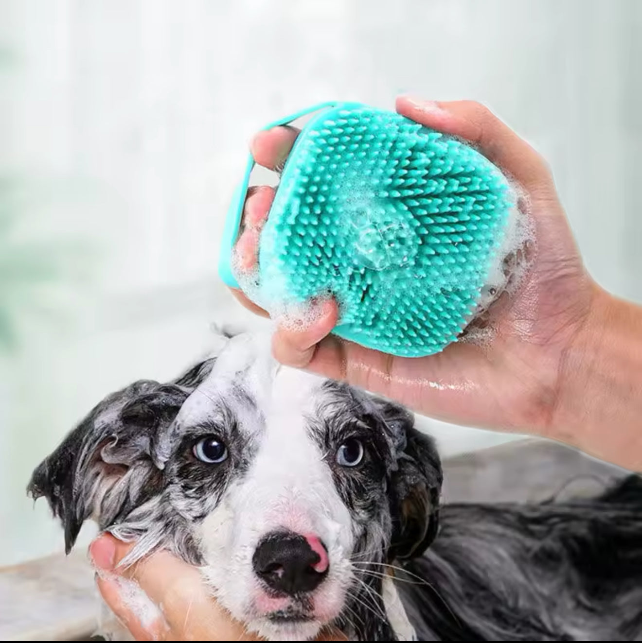 Pet Bathing Brush