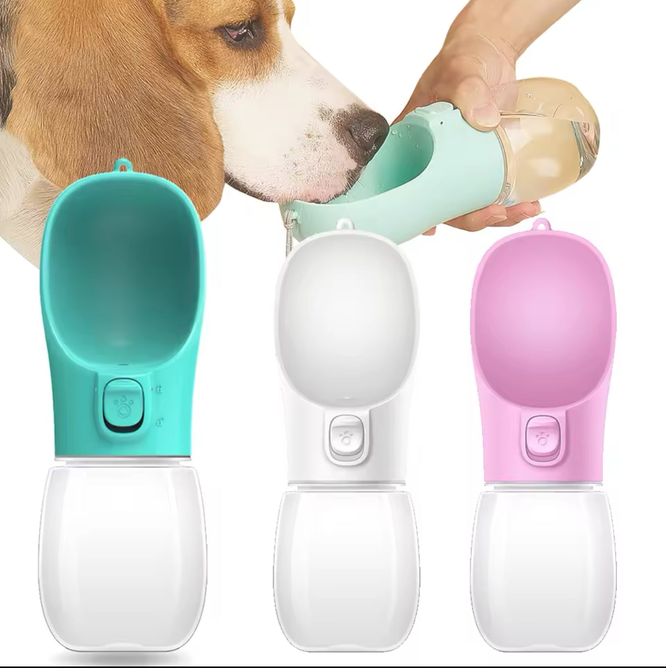 Pet Water Feeder