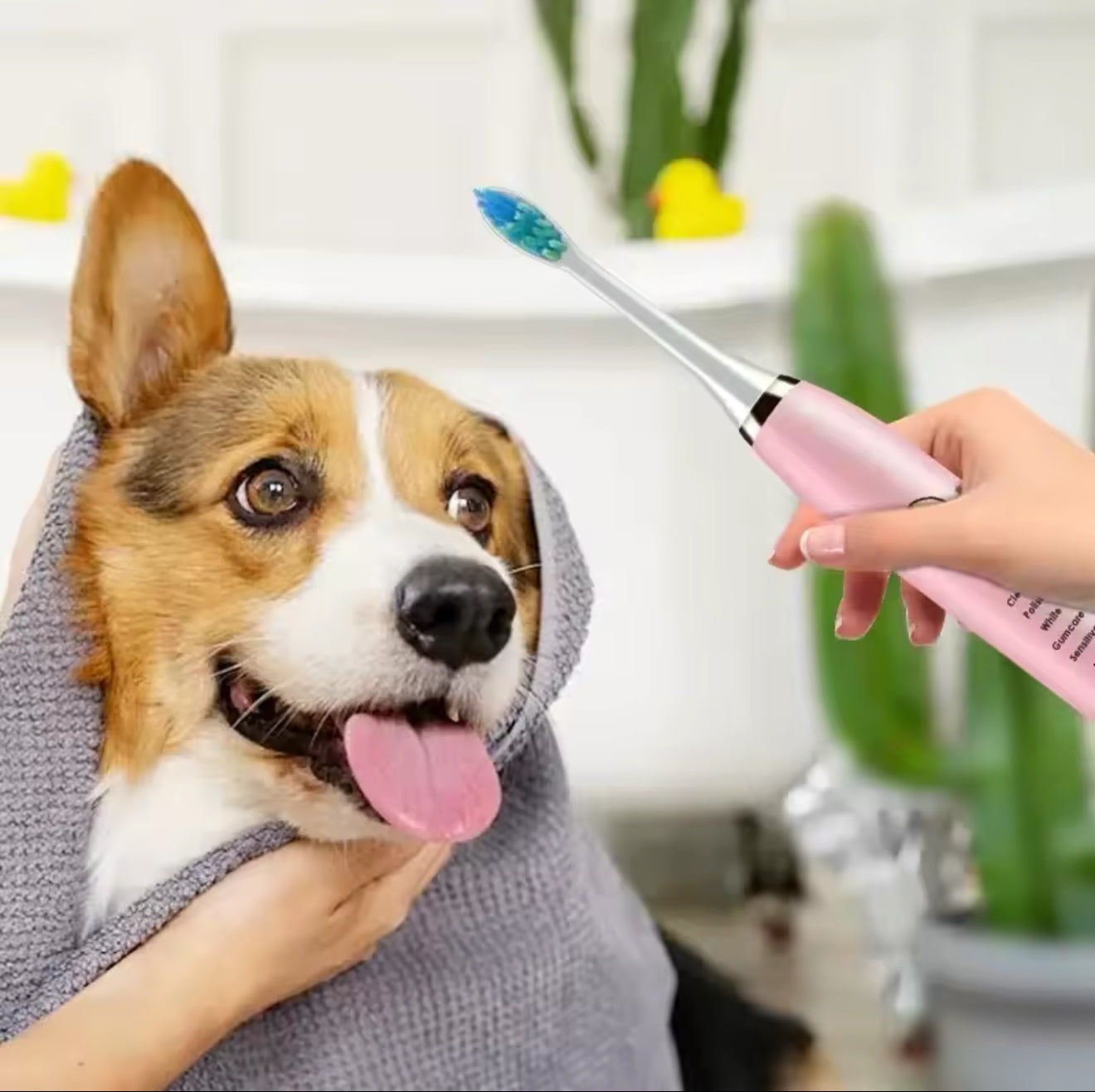 Electronic Pet Toothbrush