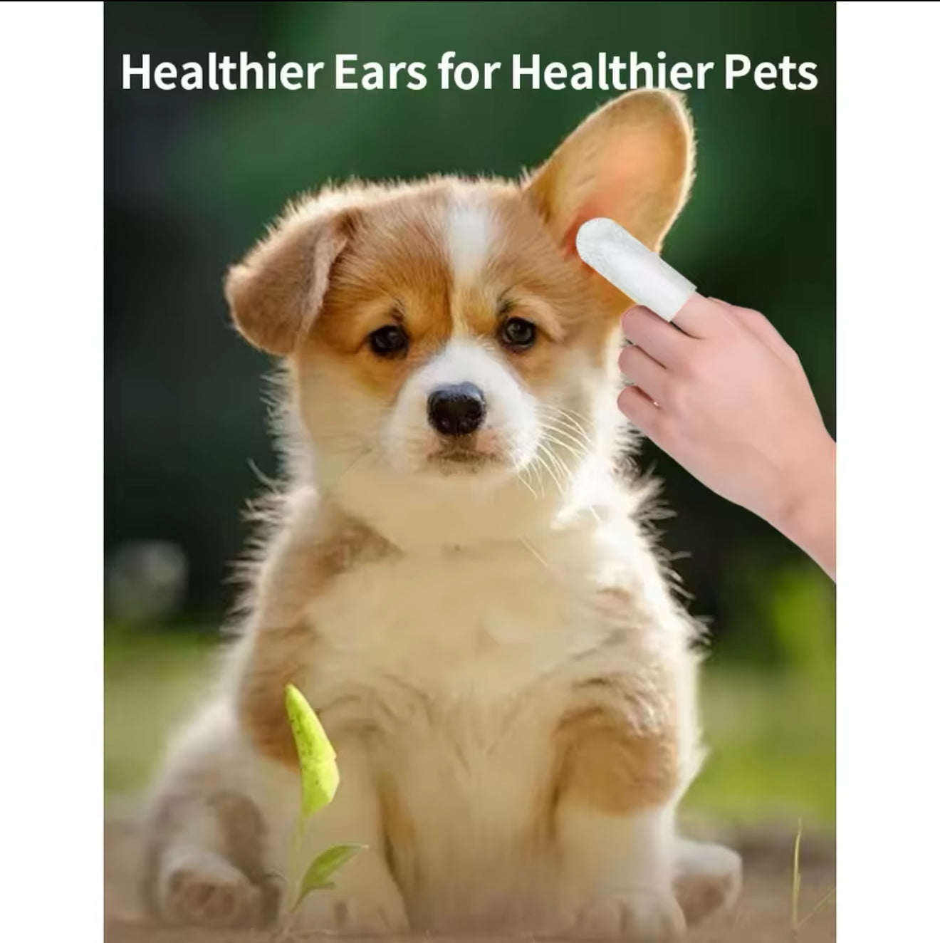 Pet Ear Cleaner